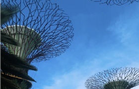研究生申请指南缩略图