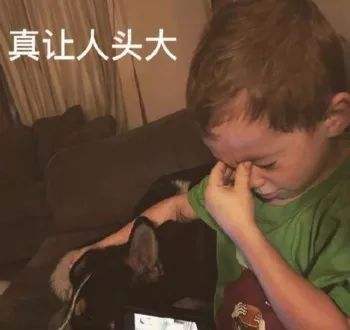 研究生申请指南缩略图